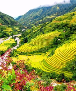 Tour Sài Gòn - Hà Nội - Sapa 4 Ngày
