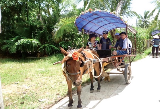 Xe ngựa dạo chơi miệt Tân Thạch, Bến Tre