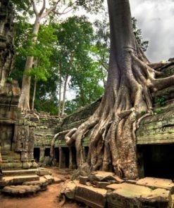 KHÁM PHÁ ĐẤT NƯỚC CHÙA THÁP CAMBODIA - SIEMRIEP – ANGKOR – PHNOMPENH – HOÀNG CUNG