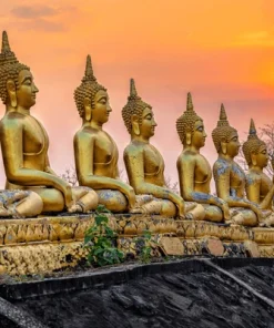 CAO NGUYÊN BOLAVEN – CHAMPASAK – 4000 ĐẢO - PAKSE – TADFANE – WAT PHOU – WAT PHOUSALAO 4N3D